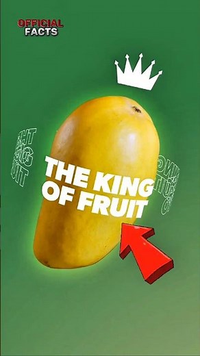 What Are the BEST Summer Fruits You Need to Try?