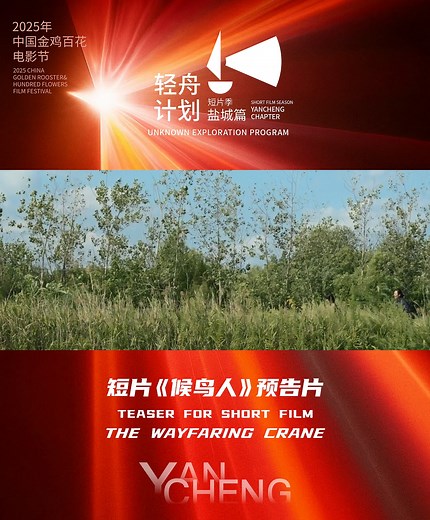 206 reactions · 3 comments |  The trailer for “The Wayfaring Crane” × Unknown Exploration Program is officially released! From Yancheng to the Golden Rooster & Hundred Flowers Film Festival — a journey of dreams takes flight. ️✨ #Yancheng #YICC #GoldenRoosterFilmFestival | Discover Yancheng | Facebook