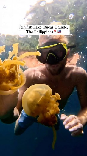 33K views · 155 reactions | Would you ever swim with THESE?! 謁 We...