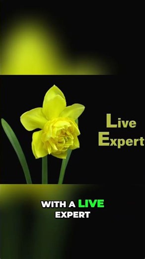 Achieve Change & Growth with Hypnotherapy