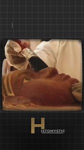 9K views · 132 reactions | "Unveiling the Coffins of Ancient Egyptian Kings: A Glimpse into Eternity . . . . . ____________________________ #AncientEgypt #Pharaohs #EgyptianKings #Archaeology #HistoryUncovered #TombsOfThePharaohs #AncientMysteries #CoffinsOfTheKings #EgyptianArtifacts #Mummies | Histomystic | Facebook