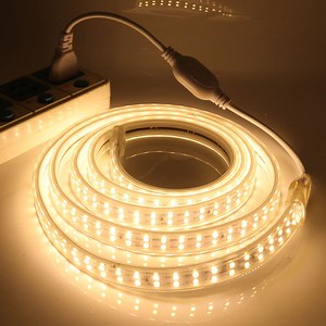 220V ไฟ LED Strip แถบไฟกันน้ำ ไฟนางฟ้า ไฟในห้อง แถบไฟสองแถวที่ยืดหยุ่นได้ Bluetooth รีโมท ตกแต่งคริสต์มาส สีขาวนวล/สีขาวนวล SMD 2835 120Leds/m 10/15/20/30m | Lazada.co.th