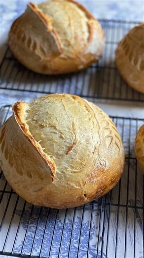 7.8K views · 436 reactions |  Wheat Stalk Sourdough Score Tutorial  #sourdough #tutorial #solideogloria #sourdoughbread #scoring #wiremonkeyshop #lame #bread #diy | Plain Jane Bakes | Facebook