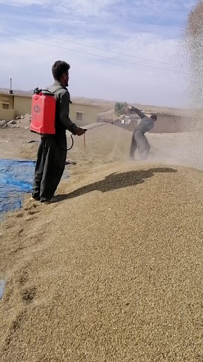 Agricultural Techniques in Rural Settings