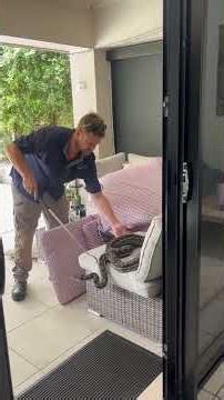PART 2: Huge Carpet Python Catch