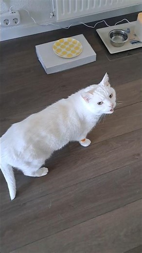 Car park (tow truck is parked?)