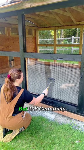 Easy Chicken Management Tips for Farmers