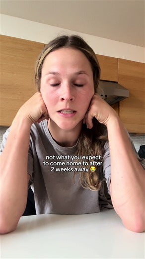 please share & tag any rescues in the austin/houston/dallas area that might be able to help this sweet boy. we cannot keep him long or short term, he needs place to go! #dogtok #rescuedog #fosterdog @Austin Animal Center