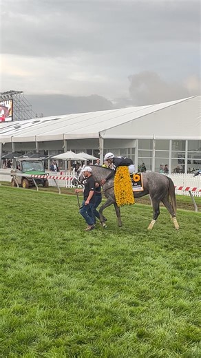 The legacy of Arrogate lives on through SEIZE THE GREY, winner of the 149th running of the GI Preakness Stakes at Pimlico Race Course 🏆 | Thoroughbred Daily News