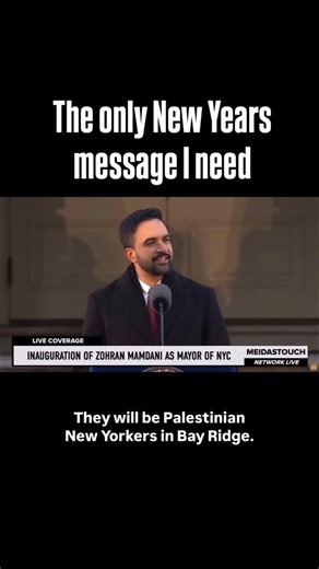 Francesca Fiorentini on Instagram: ""We may not succeed but never will we be accused of lacking then courage to try." The only New Years message I need. One of both solidarity and calling BS on decorum politics and "universality except for Palestinians." We deserve better in 2026 ✊🏽 Happy New Year indeed."