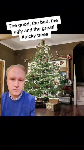 Christmas Tree Critique: The Good, the Bad, the Ugly, and the Great!