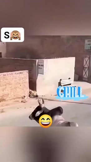 1.8M views · 10K reactions | Fun time  #fypシ゚viralシfypシ゚ #viralpost2025 #fypシ゚viralシfypシ゚viralシalシ #plzz__shear__saved__likes__and__follow_me #fypシ #funnyvideos #funnymoments #fun #funnyreels #funnyreelsvideo #funnymemes #animals #animallover #anime Funny Clips Fun Tv Fun Tv Trends Pakistan Instagram Daily Mail Daily Batain | Abdulwaheed Bhatti | Facebook