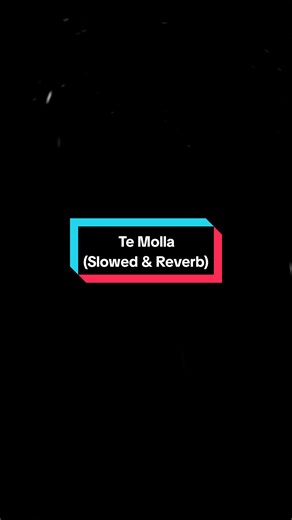 Te Molla Slowed & Reverb