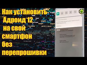 Как установить Андроид 12 на свой смартфон без перепрошивки