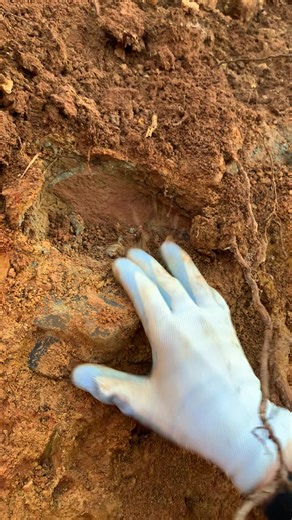 Doing some overburden removal and look what I found while digging way up in the float layer. Wonder where it came from!! ✨⛏️ . . . #rockhound #quartz #crystals #mining #rockhounding