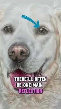 How to Draw Realistic Pet Eyes in 3 Easy Steps 👁️