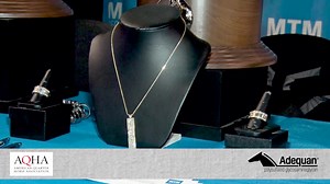 1.6K views · 82 reactions |  AQHA World Show qualifiers and exhibitors can commemorate their experience with a bit of bling this year! Learn more in tonight's Gold Globe Report, brought to you by Adequan. View today's world champions at AQHA Showing and catch the live stream replays at www.aqha.com/worldshow | American Quarter Horse Association | Facebook