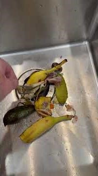 Root Food Waste Separator (Uncut) | Banana Peels, Bones, Eggshells + More