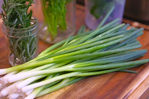 I bet you have scallions in your fridge right now. It feels like we just bought them a few days ago, but every time you want to use them, you probably find them wilted or even rotted. Today, I want to show you a simple method for keeping scallions green and fresh in the fridge for a month. I also use this method to store mint, basil, and cilantro. It is super useful. Let me know your kitchen hacks. | Souped Up Recipes