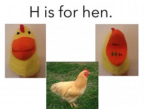 Animal Puppets And Sounds