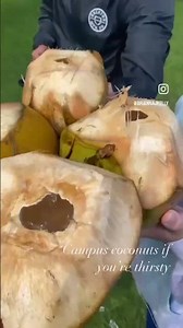 Trinity School of Medicine: Insider Experience