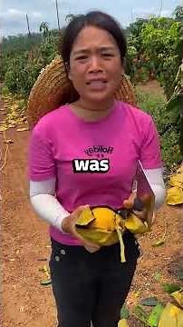 'YOU DON'T LOOK LIKE A HARPER. TAKE THE TEST OR LEAVE!' MY BROTHER SCREAMED, POINTING AT THE DOOR...