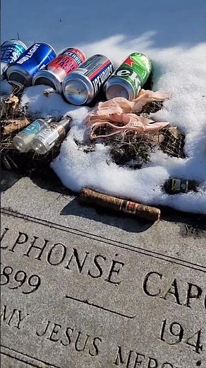 Al Capone's grave where he's buried in a silver coffin. #explore #old #american #capone #shorts #ig