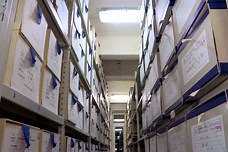 Practical Tips for Doing Online Archival Research