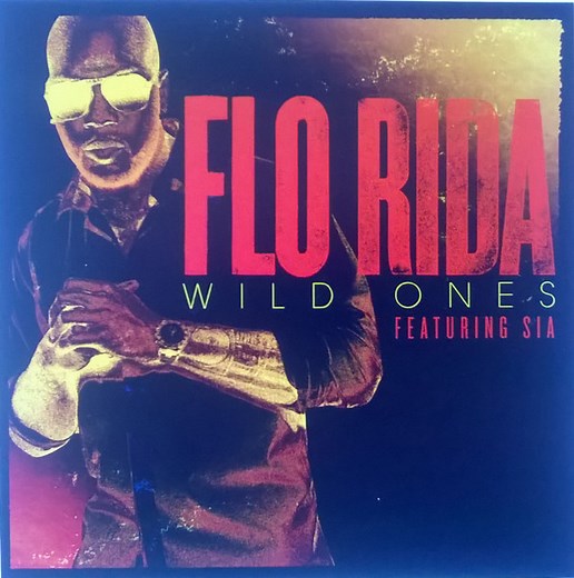 Flo Rida Featuring Sia - Wild Ones