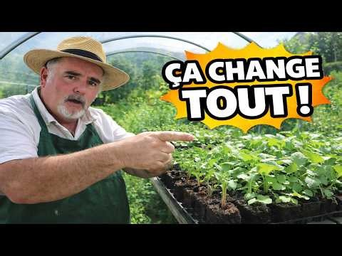 Vous ratez vos semis ? Voici comment réussir betteraves, choux et roquette dès le départ