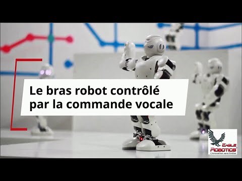 Commande vocale avec les Bras Robots 6 axes Arduino