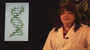 Watch What Is Recombinant DNA? on Amazon Live