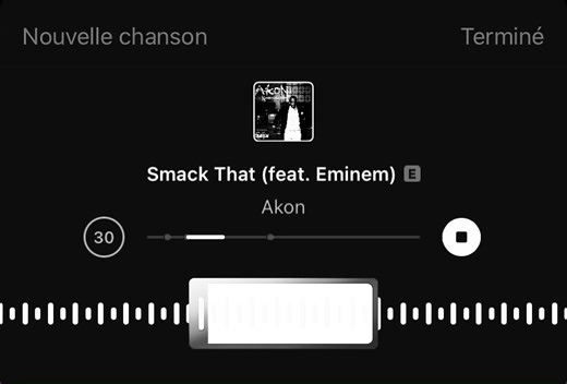 Akon y Eminem: Colaboración Musical Inolvidable