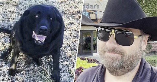 Cheddar’s Scratch Kitchen Fulfills Customer’s Special Request — His Dog’s Last Meal