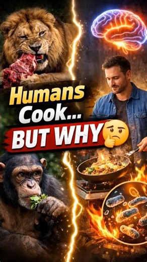 The Cooking Paradox: How Fire Made Us Human 🤔 #ScienceFacts #ytshorts #trending