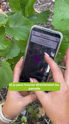 Viticulture : la saisie des interventions sur Geofolia 🍇