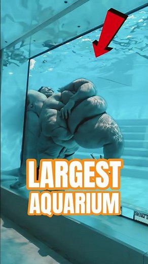 Largest Aquarium On Planet Earth Looks INSANE