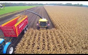 6.3K views · 61 reactions | Amazing World's Modern Huge Harvesting Machines Super Processing Farming. For more videos, please like our FB page www.facebook.com/agrimech.net | AGRI MECH | Facebook