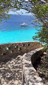 1000 Steps Beach in Bonaire is a hidden gem that lives up to its name with a stunning coastal climb that opens up to crystal clear waters and dramatic limestone cliffs. Snorkelers and swimmers love the vibrant reefs just offshore, while the tranquil vibe makes it perfect for sunset walks and beach days. Pack your gear. Feel the ocean breeze! Discover one of the island’s most unforgettable beaches! Reels credits: @the_worldisonmylist www.BonairePros.com 🌊✨ #BonairePros | Bonaire Pros