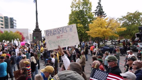 Protesters gather at 'No Kings' rallies in Duluth, across Northland