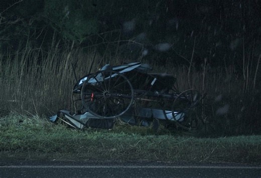Family hospitalized in Amish buggy crash, recovering at home