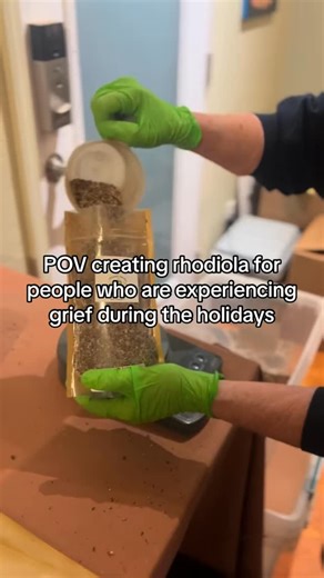 The holidays are high-stress. Stress shows up in the body — not just the mind. Alaska-grown rhodiola to support energy and stress when you need it most. Available now. (Link in bio) | Alaska Rhodiola