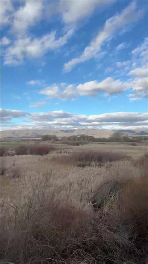 Live highlight Train ride in Utah