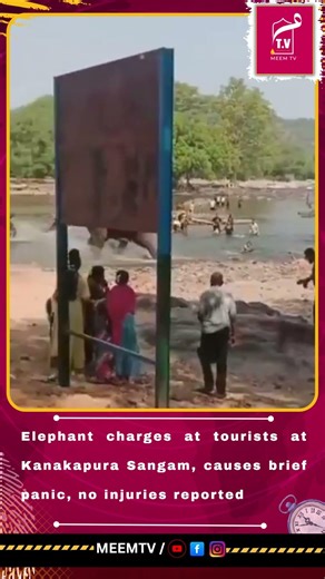 An elephant charged towards tourists at Kanakapura Sangam, causing brief panic.