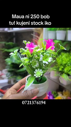 Homedecor,bathroom decor. #bathroomdecor #smallflowers #decorkenya #artificialflowers #plantsoftiktok #plantsoftiktok🌱 #affordabledecor #stagemarketkenya #nairobikenya #smallbusinesskenya #interiordecorke #interiordecortips #tiktokdecor #pottedplants