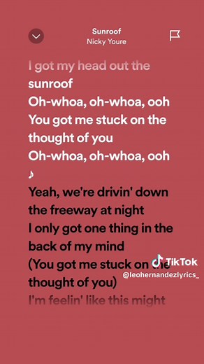 Sunroof Song Lyrics by Nicky Youre: Lalalala in My Head