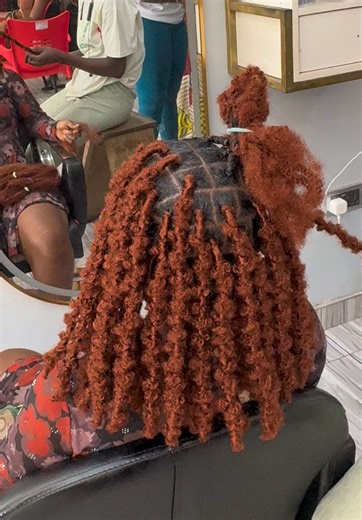 Creative Butterfly Locs Braid Styles