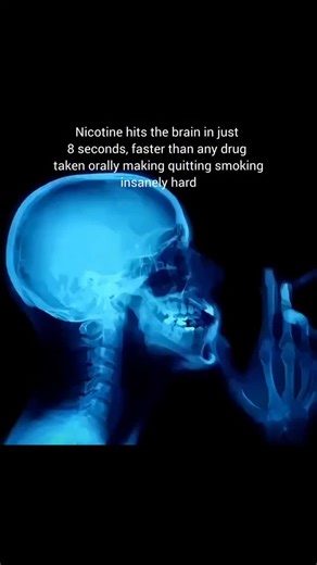 Biology | Nicotine addiction When a person smokes a cigarette... Nicotine enters the lungs, where it is rapidly absorbed into the bloodstream. It... | Instagram