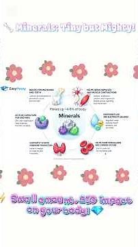 Why Minerals Are Essential for Your Body | Biomolecules Explained