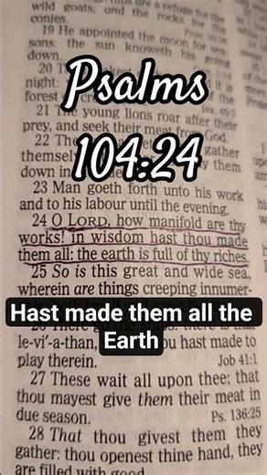 The Maker Of All - Psalms 104:24